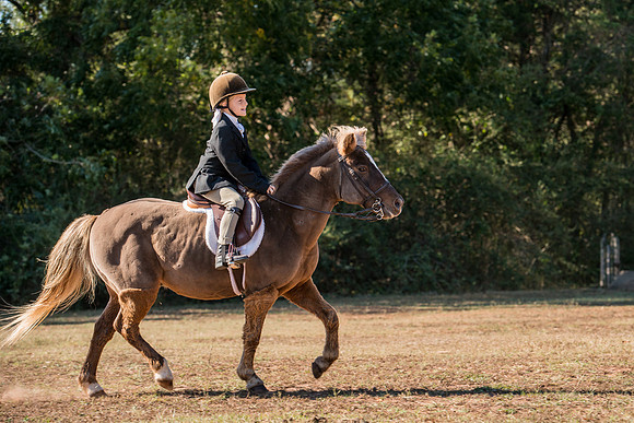 Belle Meade_227935_11-5-2016