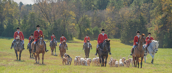 Belle Meade