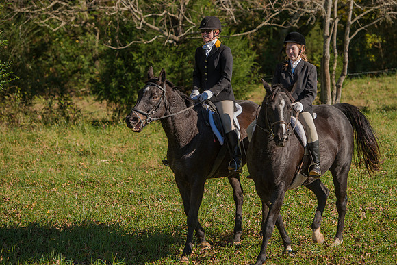 Belle Meade