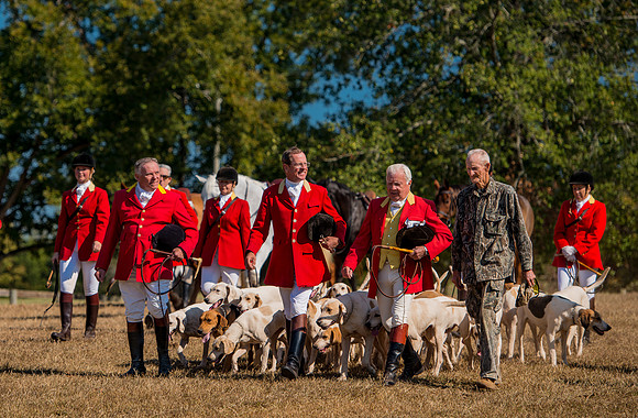 Belle Meade_228166_11-5-2016