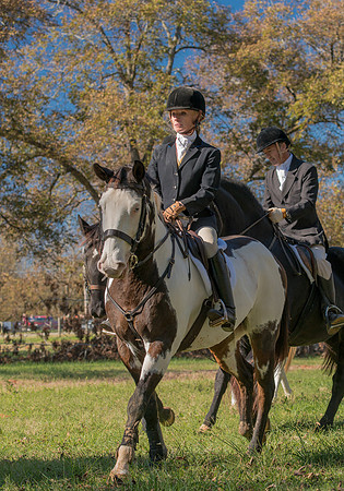 Belle Meade