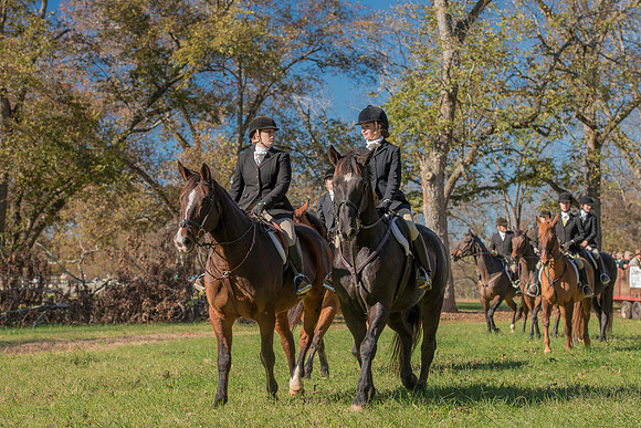 Belle Meade