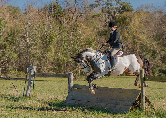 Belle Meade