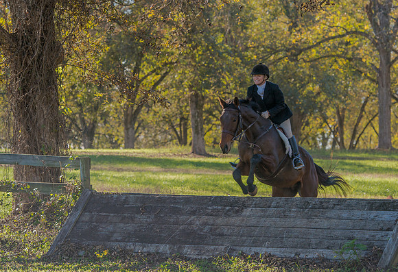 Belle Meade