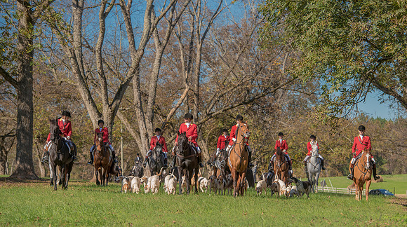 Belle Meade