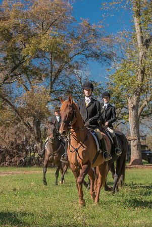 Belle Meade