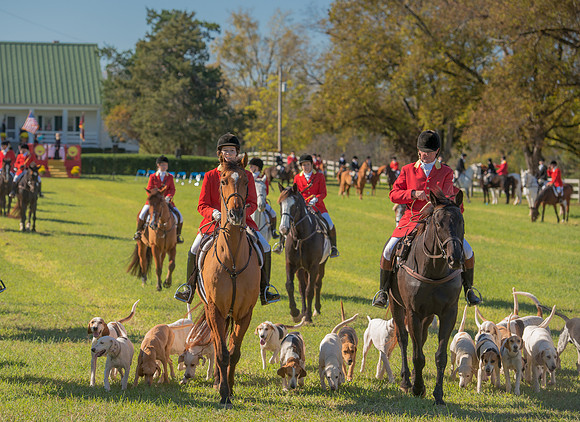 Belle Meade