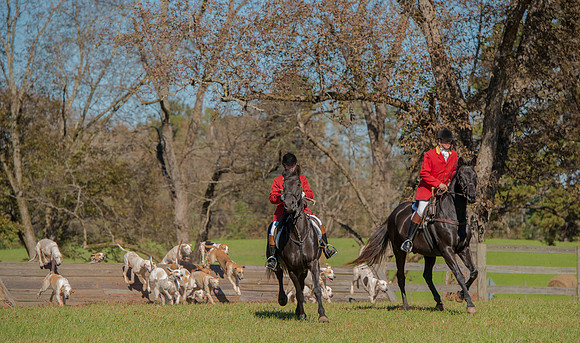 Belle Meade