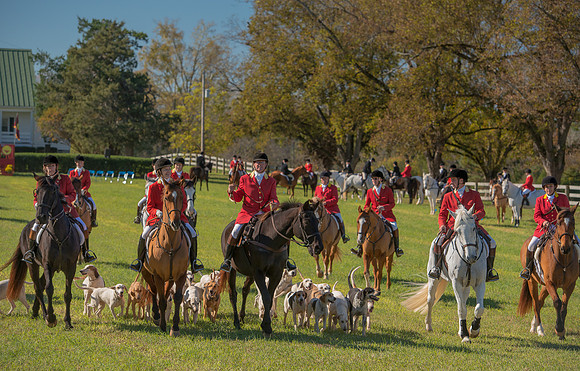 Belle Meade