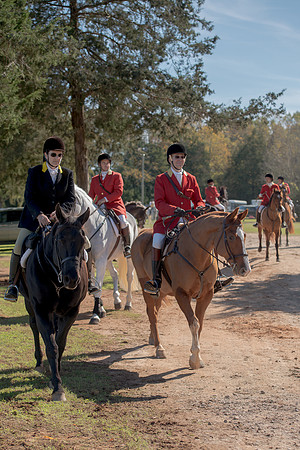 Belle Meade