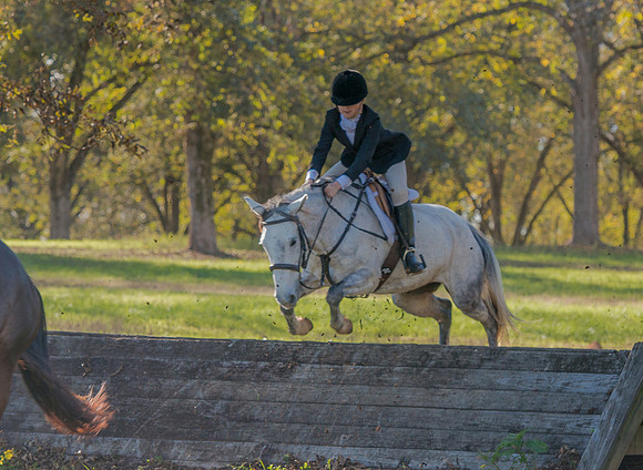 Belle Meade