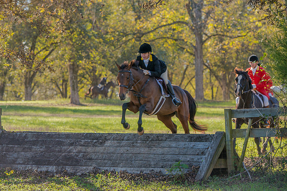 Belle Meade