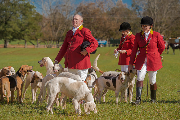 Belle Meade