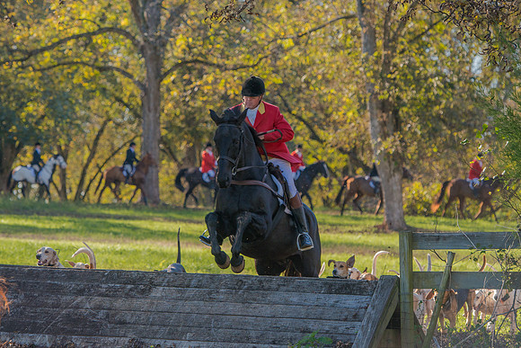 Belle Meade