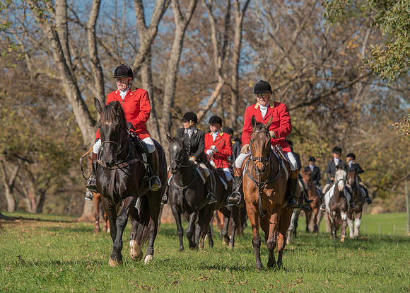 Belle Meade