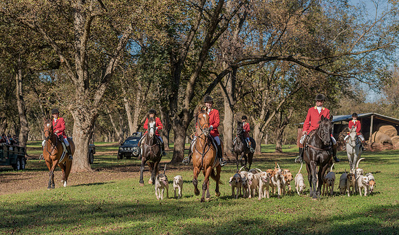 Belle Meade