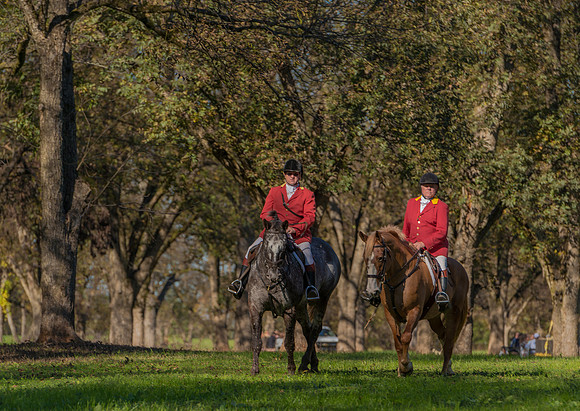 Belle Meade