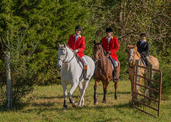 Belle Meade