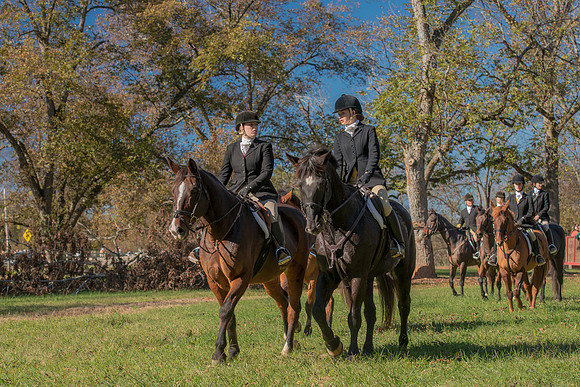 Belle Meade