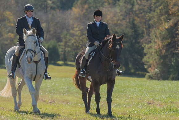 Belle Meade