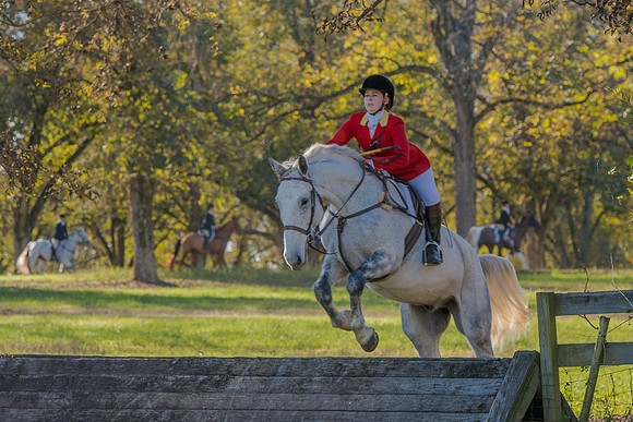Belle Meade
