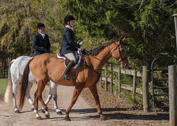 Belle Meade
