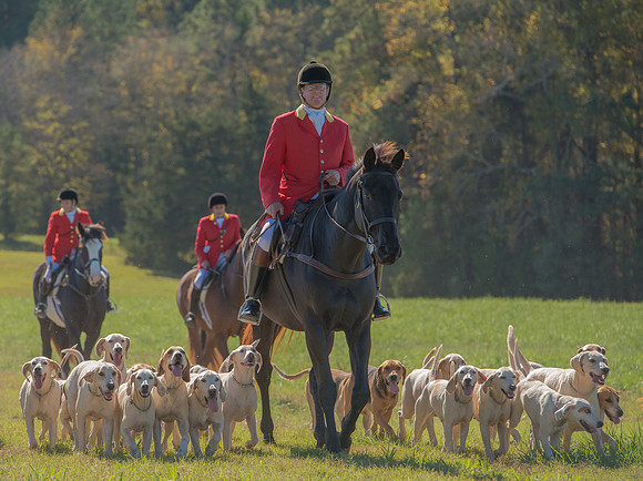 Belle Meade