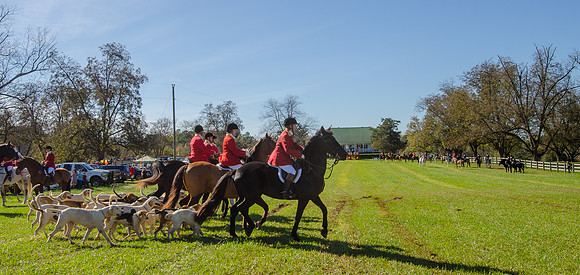 Belle Meade