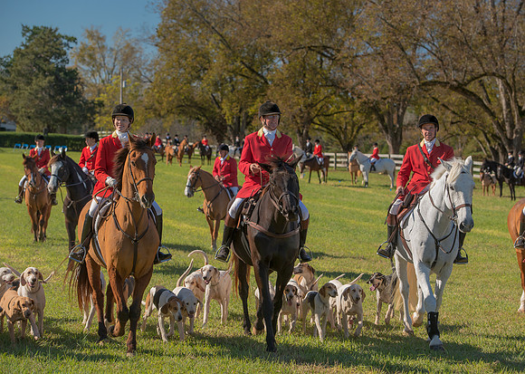 Belle Meade
