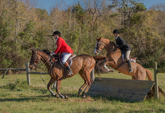 Belle Meade