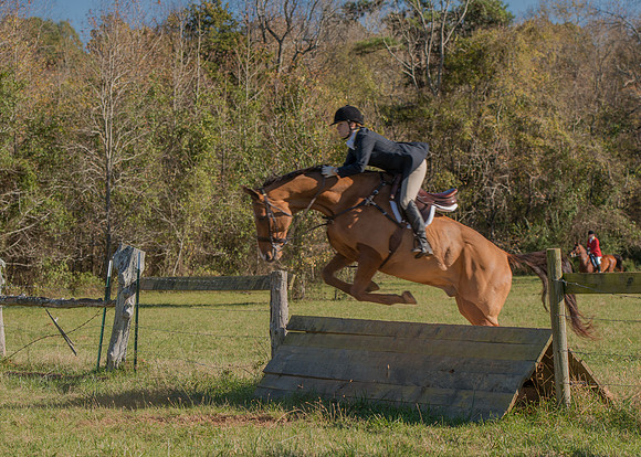 Belle Meade