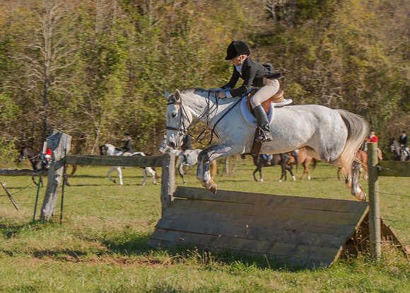 Belle Meade