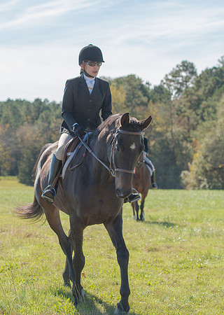 Belle Meade