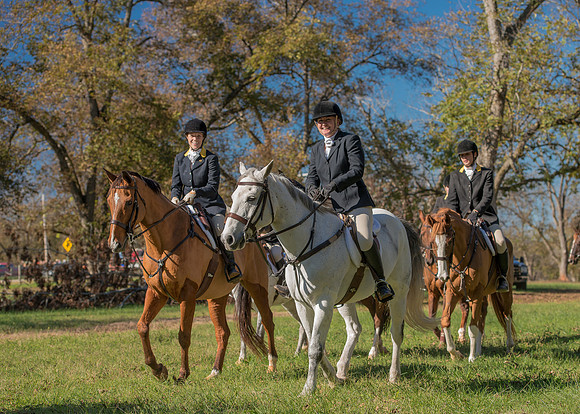 Belle Meade