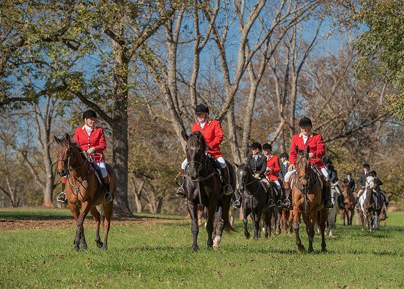 Belle Meade