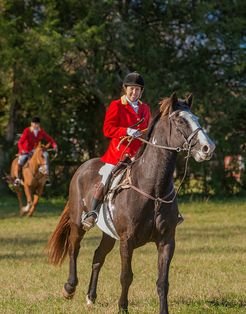 Belle Meade