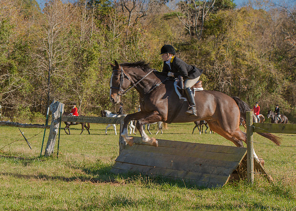 Belle Meade