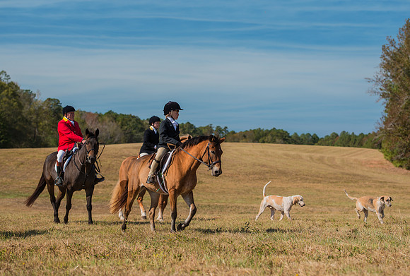Belle Meade_228047_11-5-2016