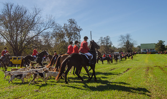 Belle Meade