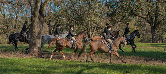 Belle Meade