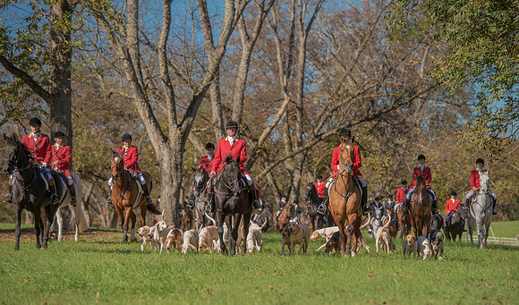 Belle Meade