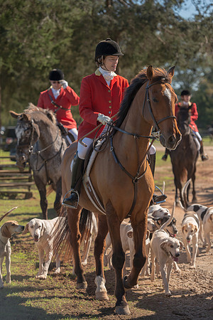 Belle Meade