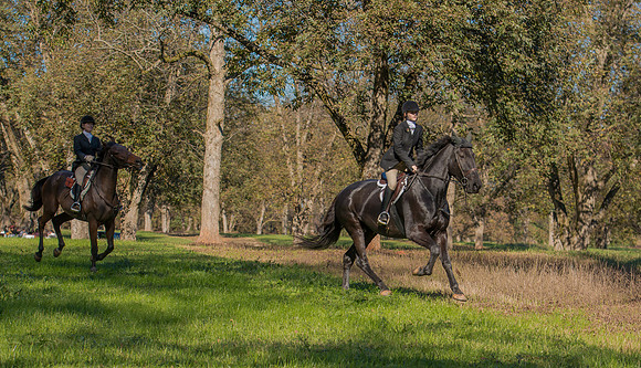 Belle Meade