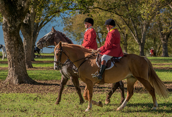 Belle Meade