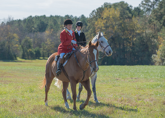 Belle Meade
