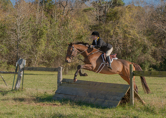 Belle Meade
