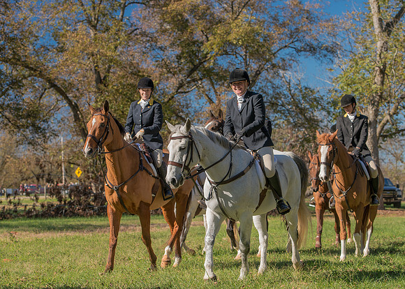 Belle Meade