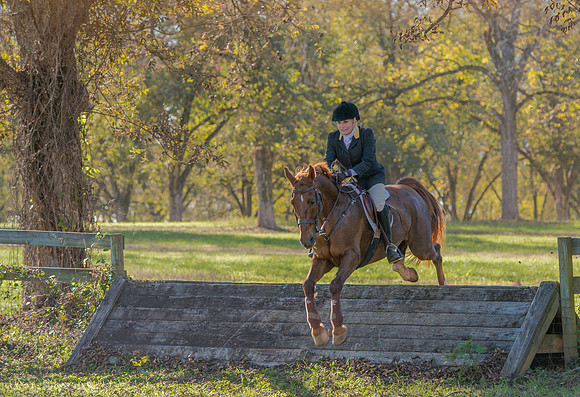 Belle Meade