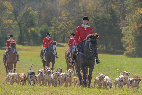 Belle Meade