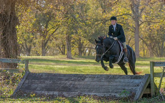 Belle Meade